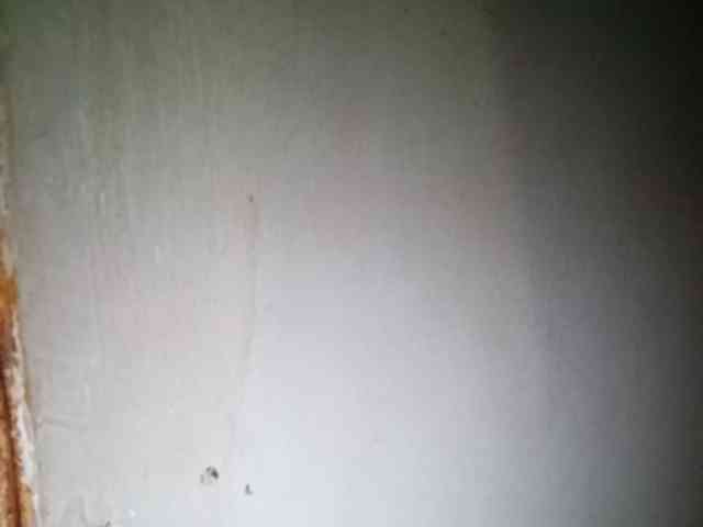 Smithsophie webcam
