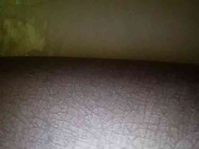 Smithsophie webcam
