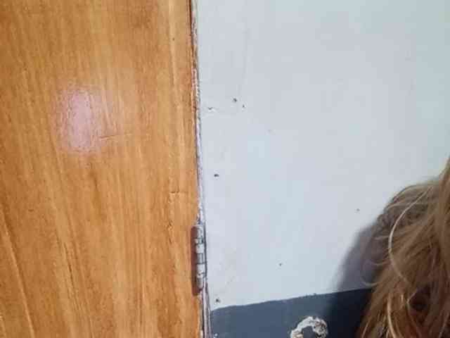 Smithsophie webcam