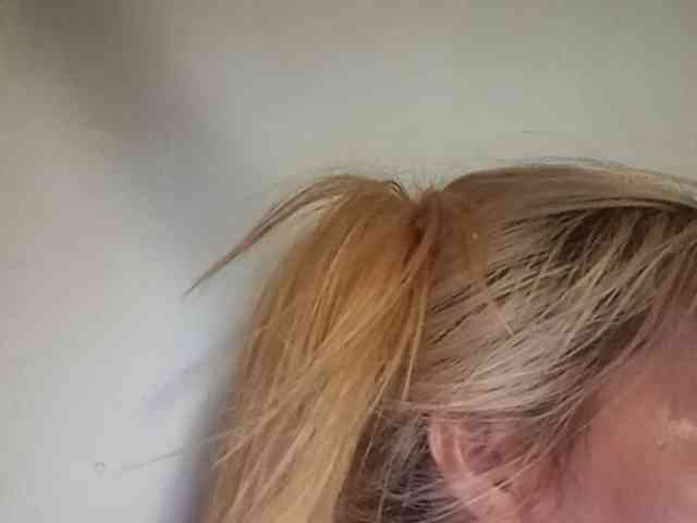 Smithsophie webcam