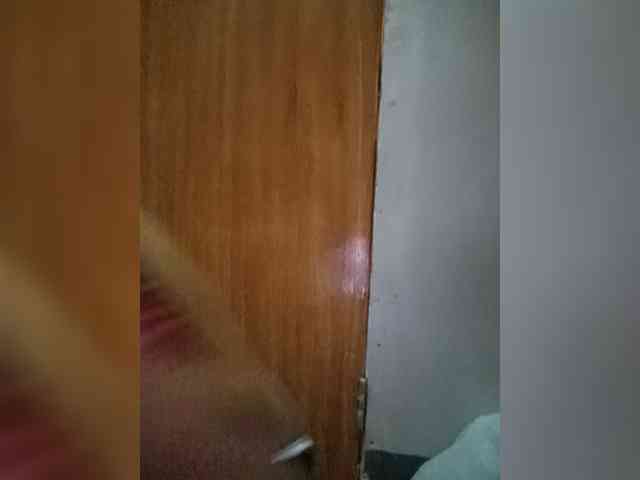 Smithsophie webcam
