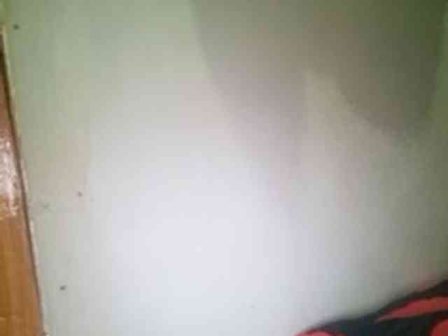 Smithsophie webcam