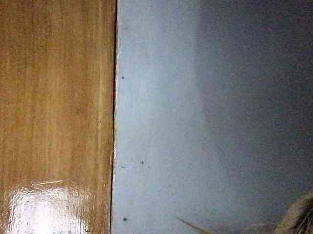 Smithsophie webcam