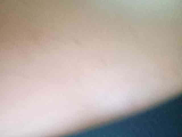 Smithsophie webcam