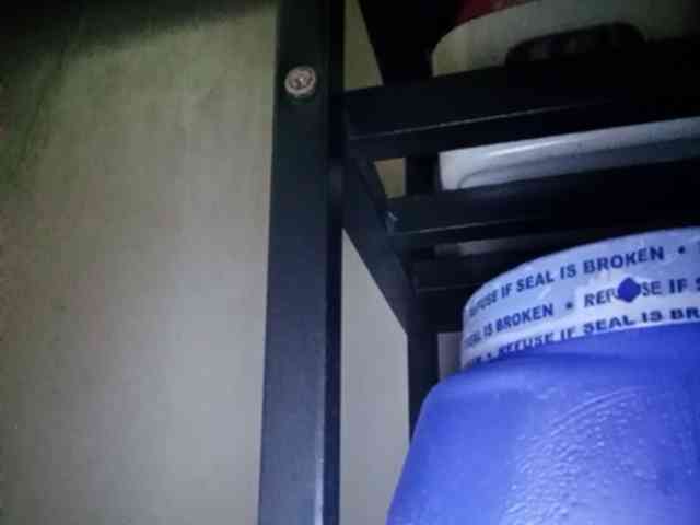 Smithsophie webcam