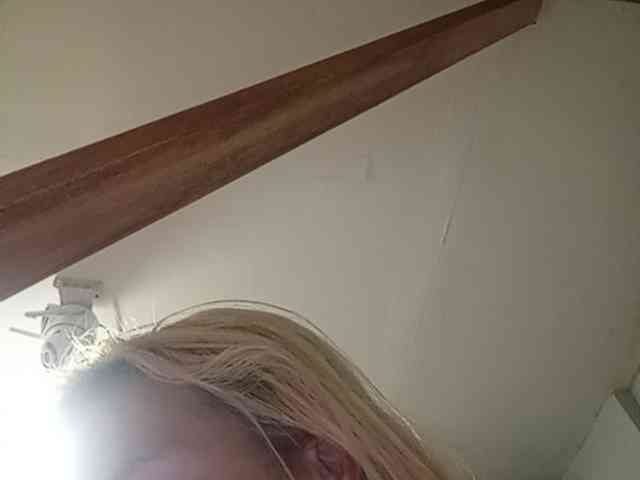Smithsophie webcam