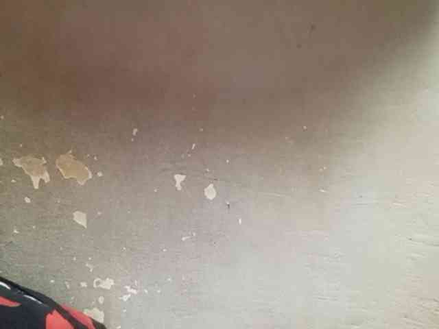 Smithsophie webcam