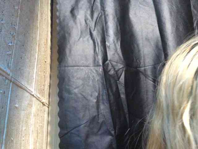 Smithsophie webcam
