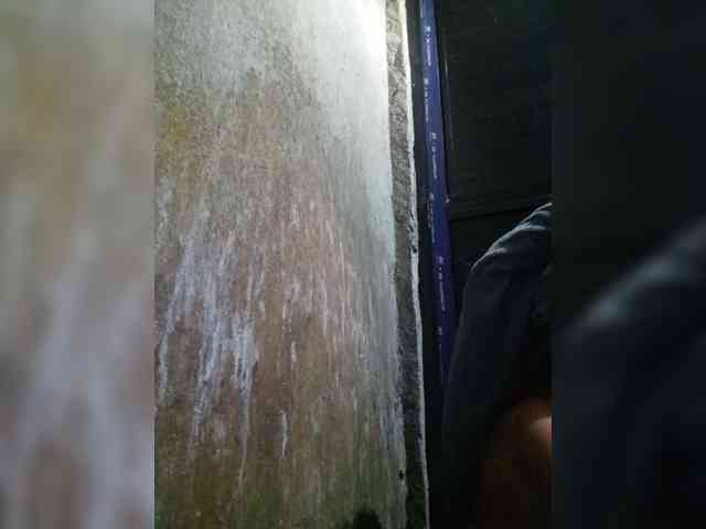 Pempemliciouss Pempemliciouss