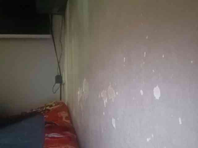 Pempemliciouss Pempemliciouss