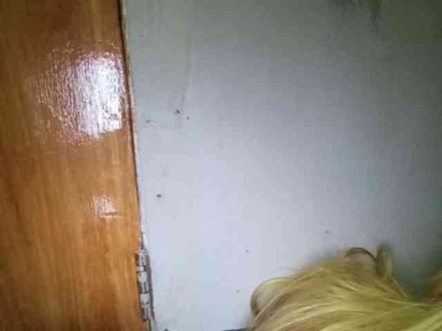 Smithsophie webcam