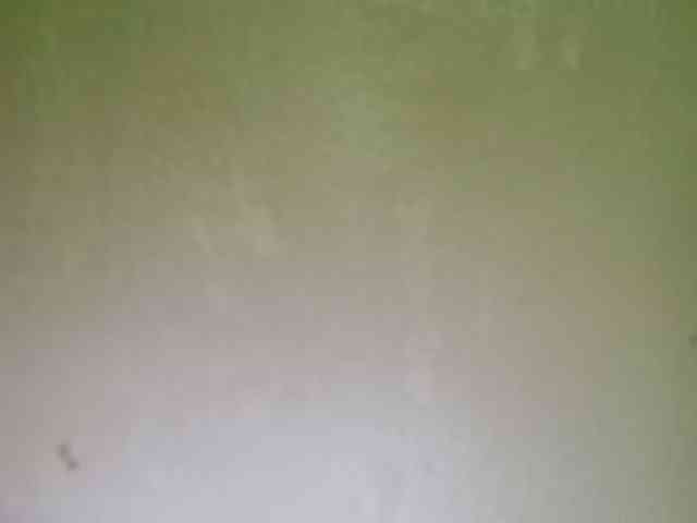 Smithsophie webcam
