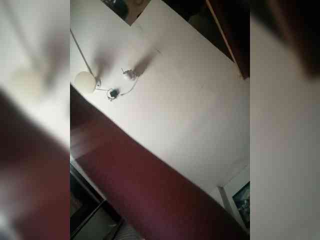 Smithsophie webcam