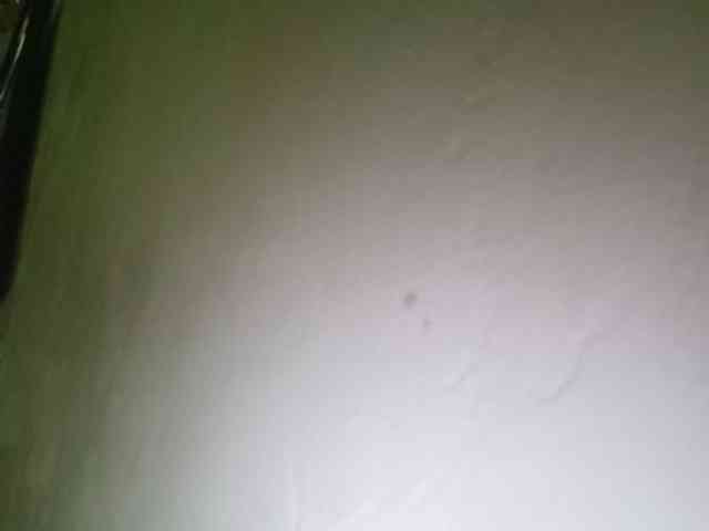 Smithsophie webcam