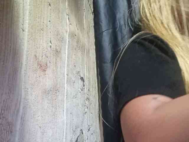 Smithsophie webcam