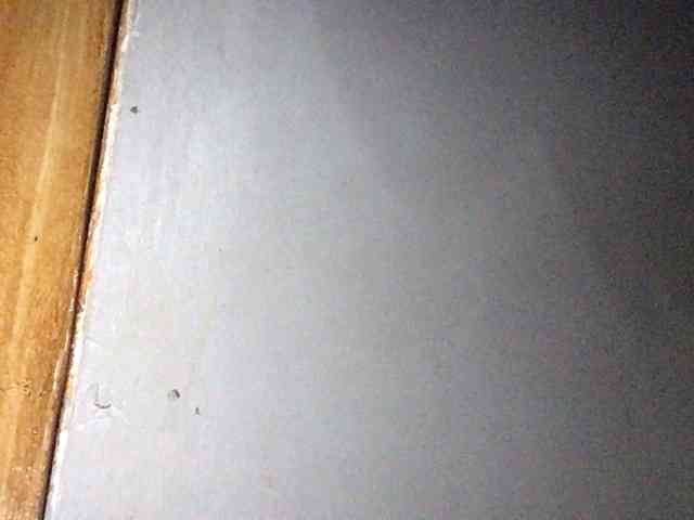 Smithsophie webcam