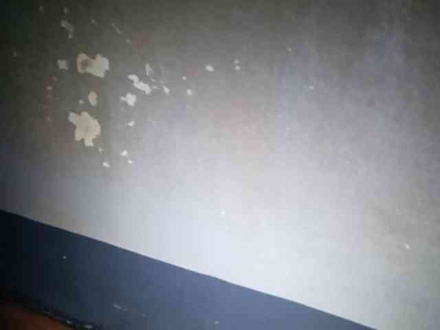 Smithsophie webcam