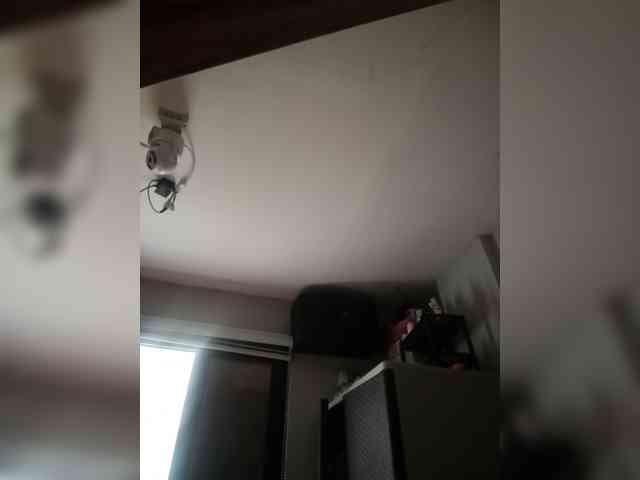 Smithsophie webcam