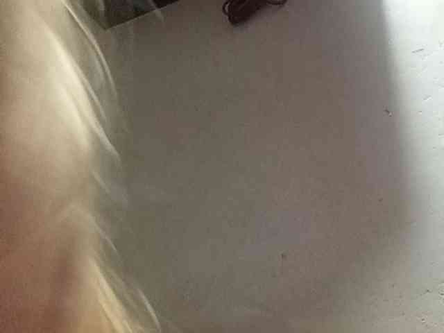 Smithsophie webcam