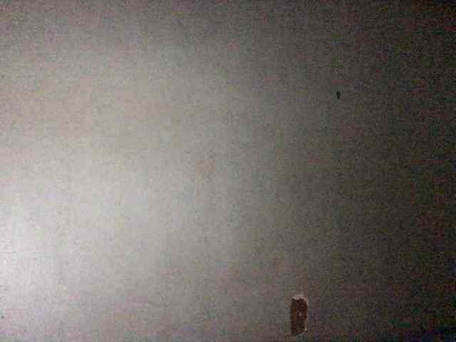 HEARTQUEEN webcam