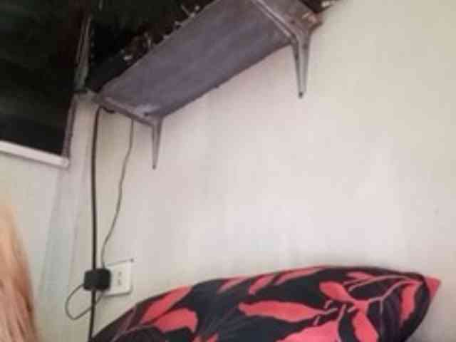 Smithsophie webcam