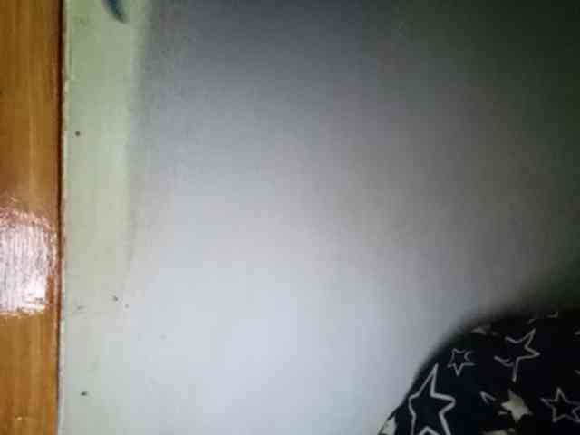 Pempemliciouss Pempemliciouss