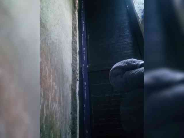 Smithsophie webcam