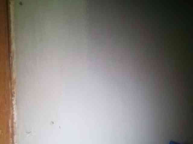 Smithsophie webcam