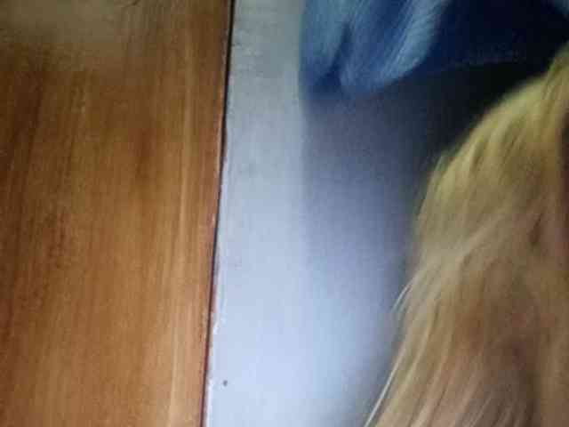 Smithsophie webcam