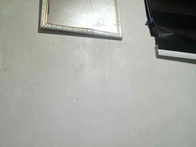 Pempemliciouss