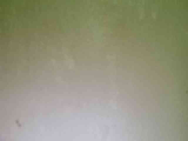 Smithsophie webcam
