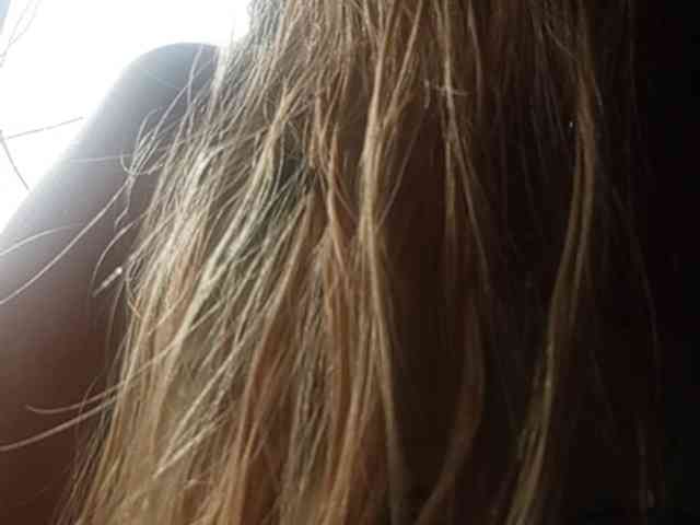 Pempemliciouss