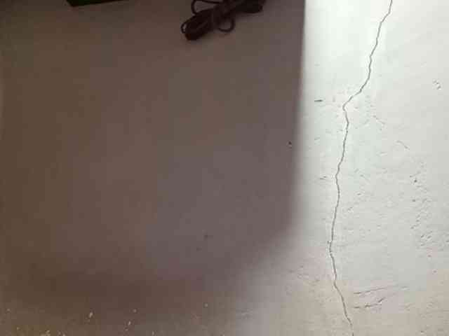 Smithsophie webcam