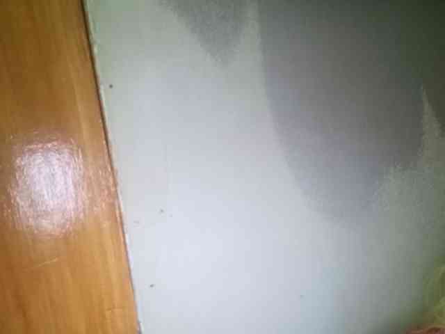 Smithsophie webcam
