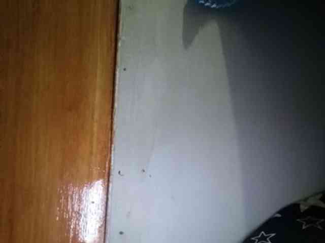 Pempemliciouss