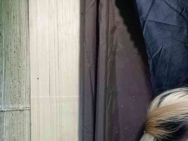 Smithsophie webcam