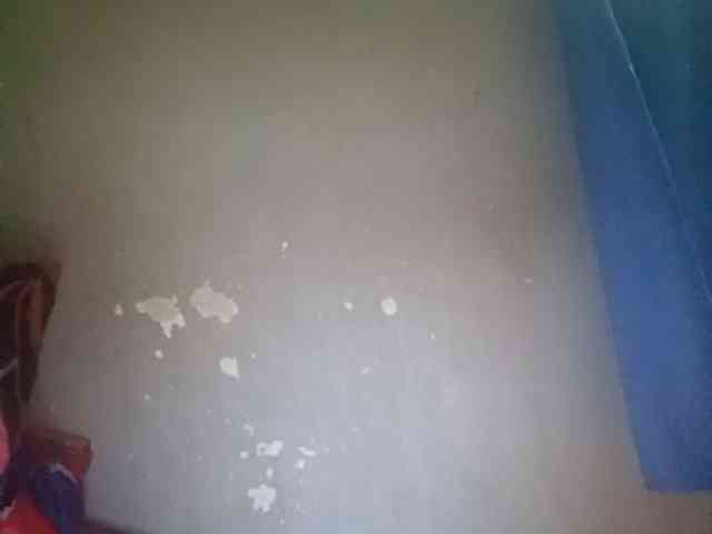 Smithsophie webcam