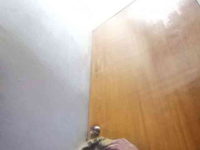 Smithsophie webcam
