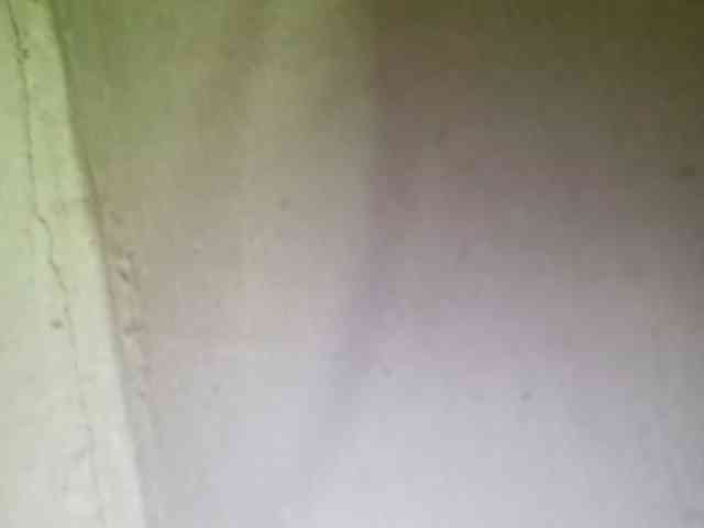 Smithsophie webcam