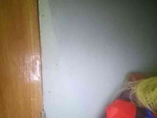 Smithsophie webcam
