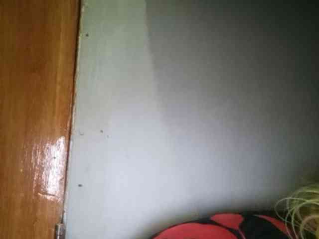 Smithsophie webcam