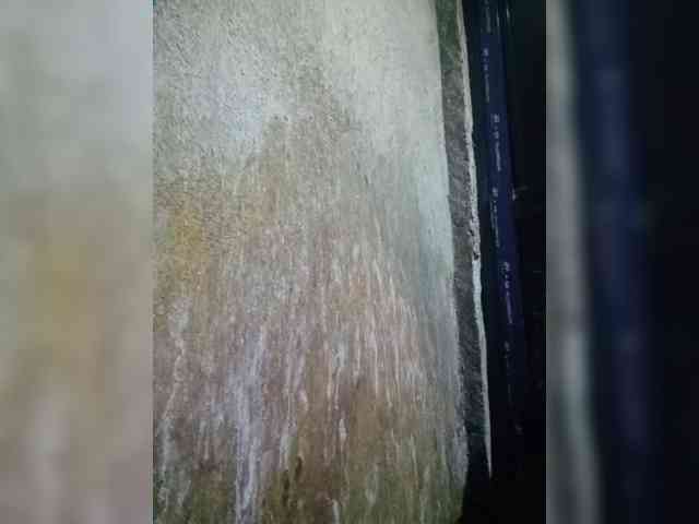 Smithsophie webcam