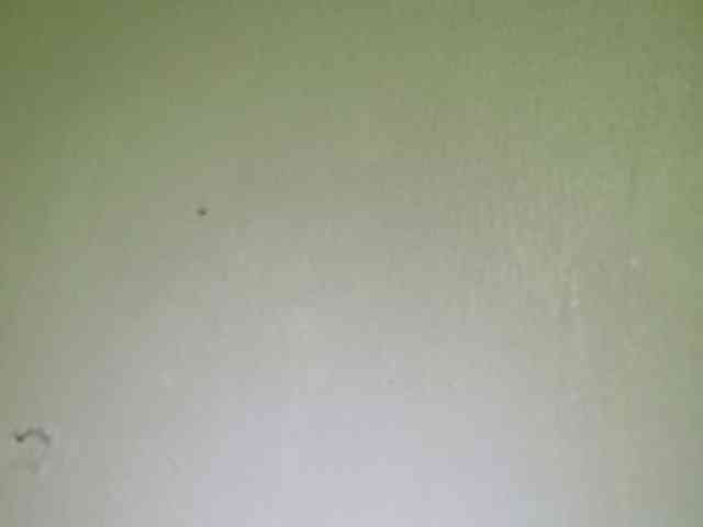 Smithsophie webcam