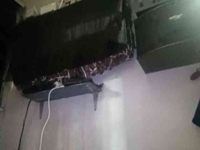 Smithsophie webcam