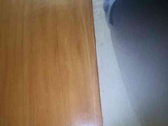 Smithsophie webcam