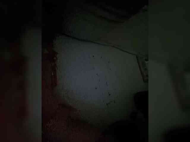 Smithsophie webcam