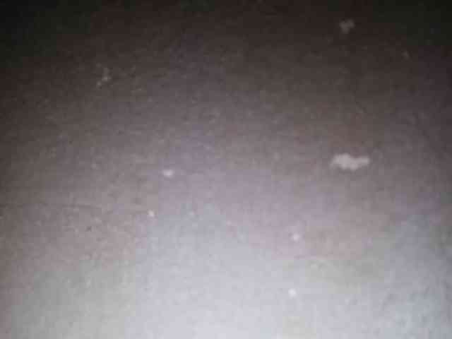 Smithsophie webcam