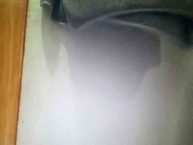 Smithsophie webcam