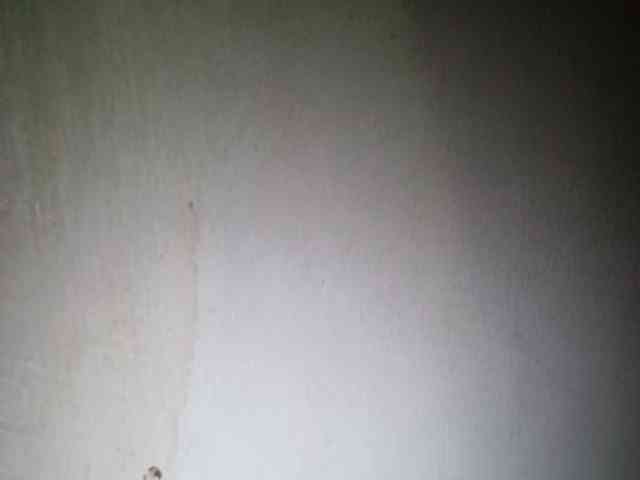 Smithsophie webcam