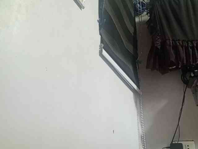 Smithsophie webcam